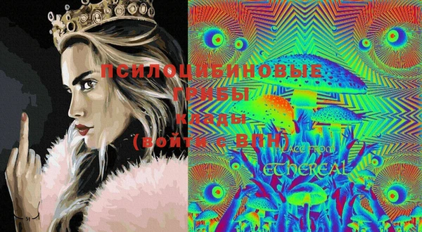 2c-b Михайловка
