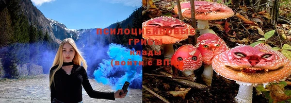 каннабис Михайловск