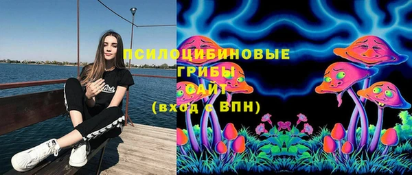 гидропоника Михайлов