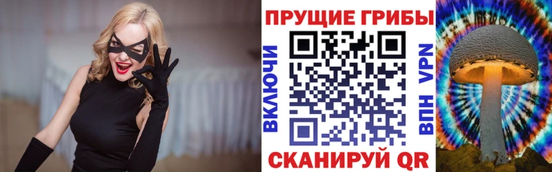 МЕГА ссылка  купить наркотики цена  Жуковка  Галлюциногенные грибы GOLDEN TEACHER 